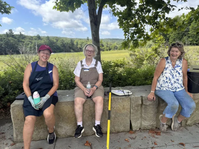 Penn State Master Gardeners grow flowers  for Flight 93 families
